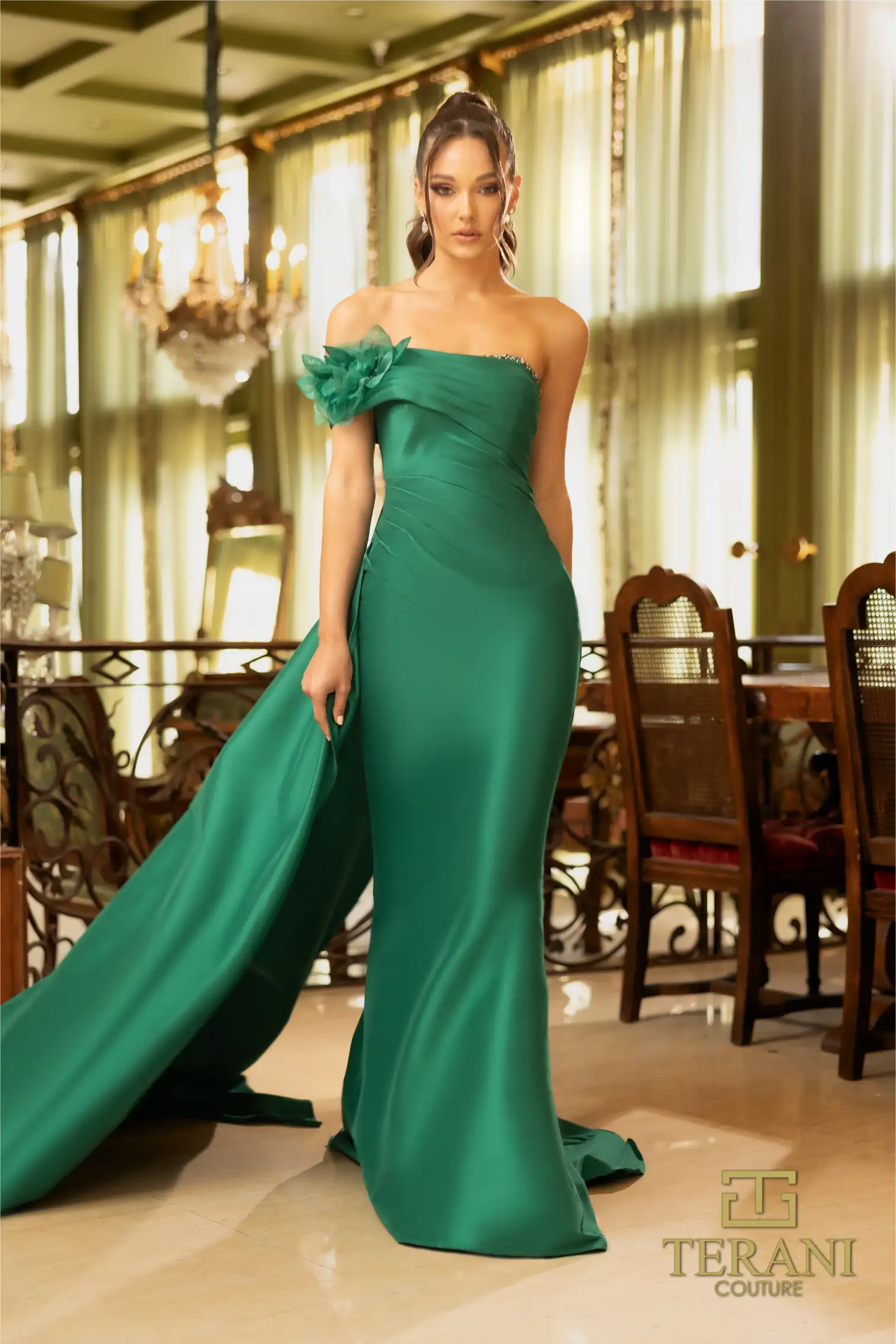 Terani Couture 242M3314 Dress