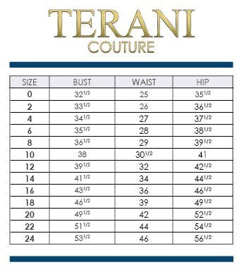 Terani Couture 262M7252 - Floral Applique Dress